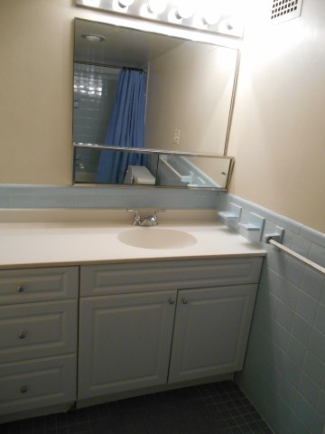 Hall Bathroom