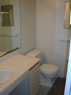 Bathroom in Master Bedroom